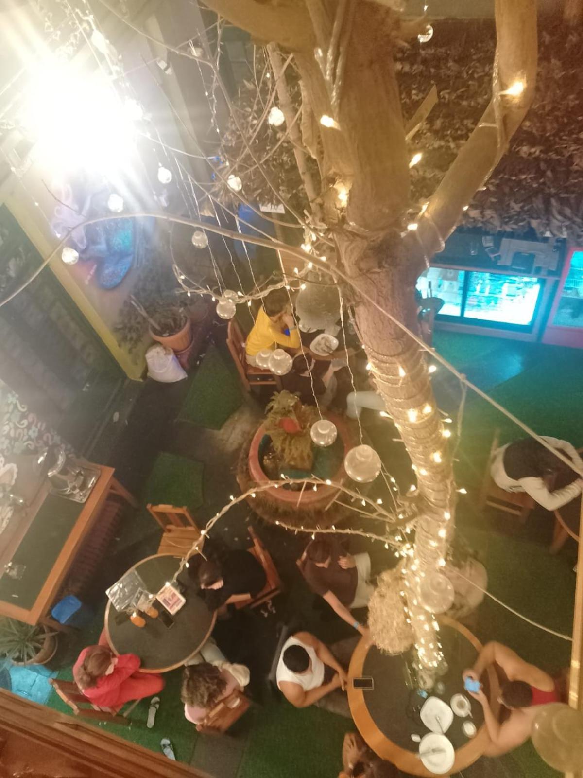 Saint Peter'S Llama Hostal La Paz Ngoại thất bức ảnh