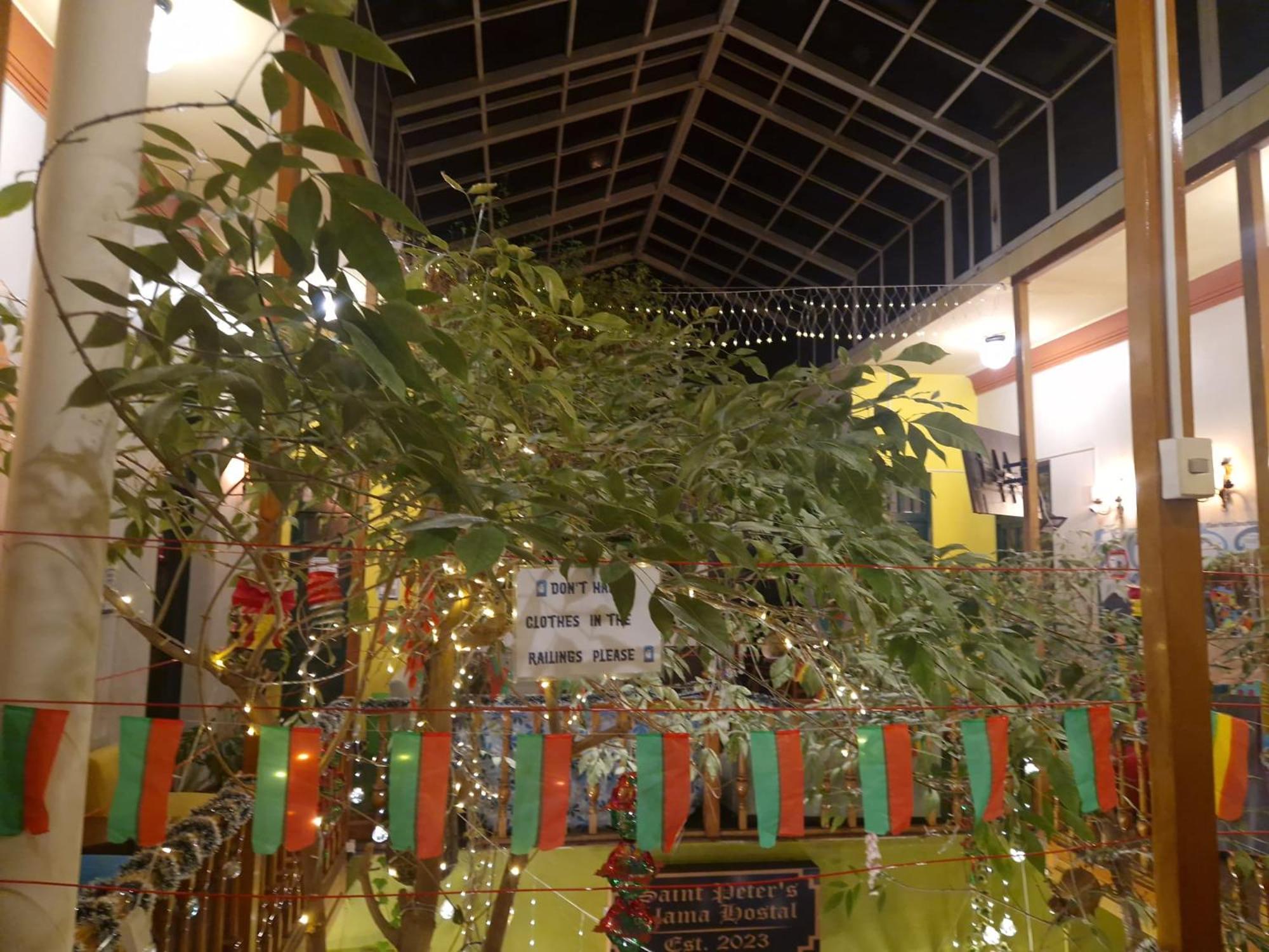 Saint Peter'S Llama Hostal La Paz Ngoại thất bức ảnh